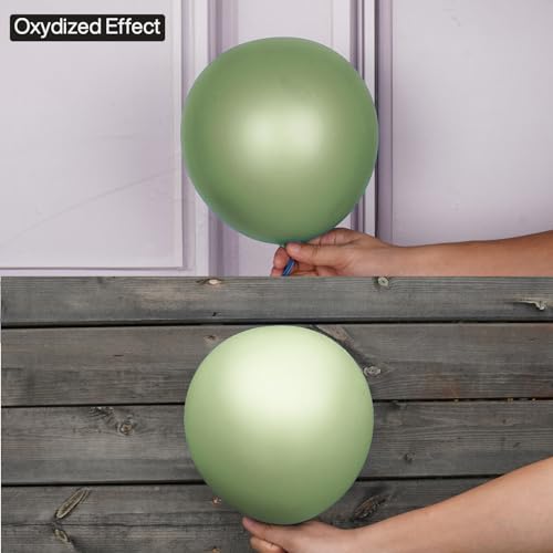 sage green balloons 50 pcs 12 inch