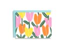 Folded Note Set