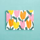Folded Note Set
