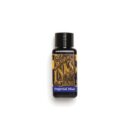 fountain pen bottled ink 30ml