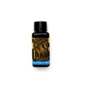 fountain pen bottled ink 30ml
