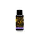 fountain pen bottled ink 30ml