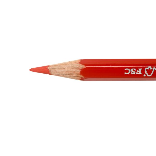 Dual Tip Writing Tool