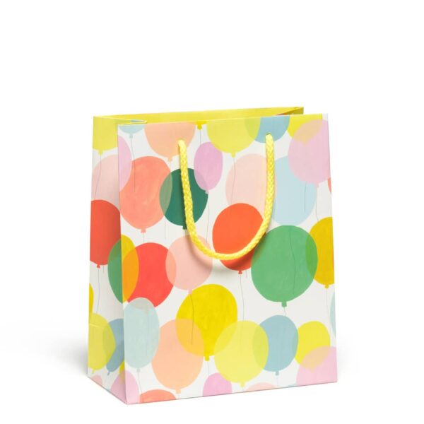 Birthday Party Gift Bag