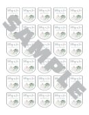hand sanitizer labels set of 30