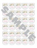 Baby Shower Hand Sanitizer Labels Set of 30
