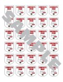 Graduation Sanitizer Labels Set of 30