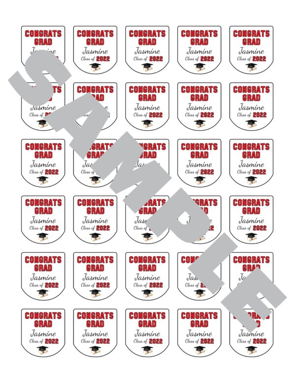 Graduation Sanitizer Labels Set of 30 - Image 3