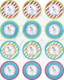 Winter Birthday Party Sticker Labels Set of 24