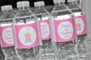 Princess Theme Beverage Wraps Set of 10