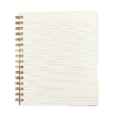 mini nature journal