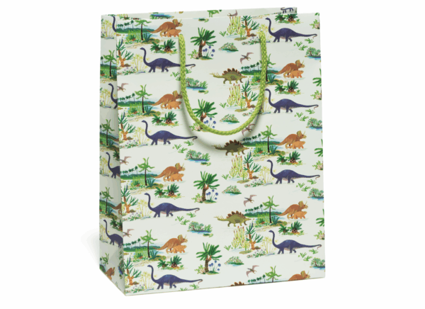 dinosaur themed gift pouch