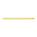 Premium Colored Pencil - Citrus
