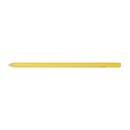 Premium Colored Pencil - Citrus