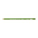 Premium Colored Pencil - Apple Green