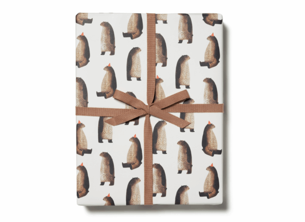 Party Wrapping Paper