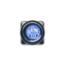 Bottled Ink Royal Blue 50ml