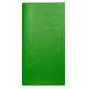 notebook folio size green
