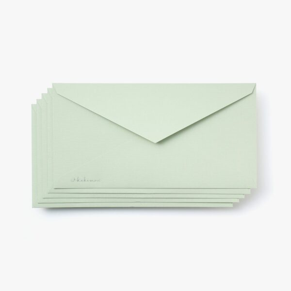 Mint Envelope Set of 5