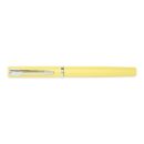 Elegant Pastel Pink Fountain Pen