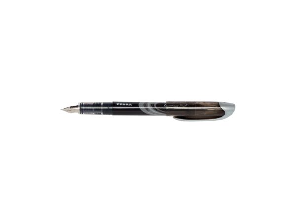 disposable fountain pen 6mm
