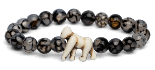 animal tracking bracelet