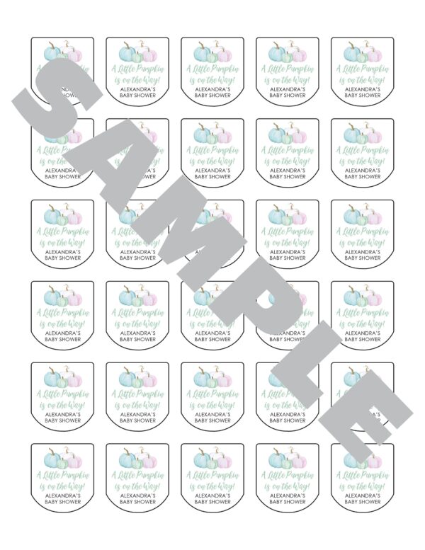Multicolor Baby Shower Sanitizer Favor Labels Set of 30