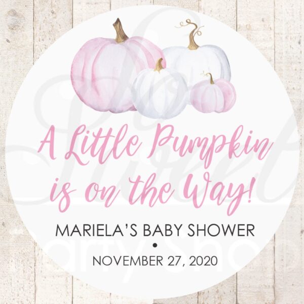 Baby Shower Favor Stickers Set of 24