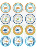 Dinosaur Theme Birthday Party Decorations Set of 24