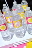 Sunshine and Citrus Beverage Labels Set of 10