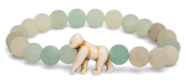 animal tracking bracelet - Image 4